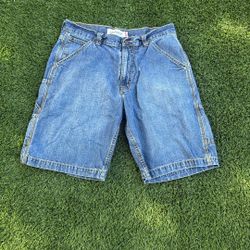Levi Carpenter Jorts 