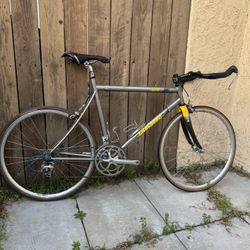 650c Litespeed Tachyon titanium triathlon / time trial 55cm