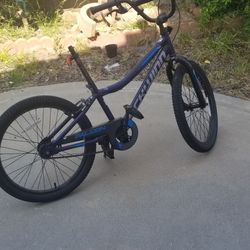 Schwinn 20 Inch With No Seat 