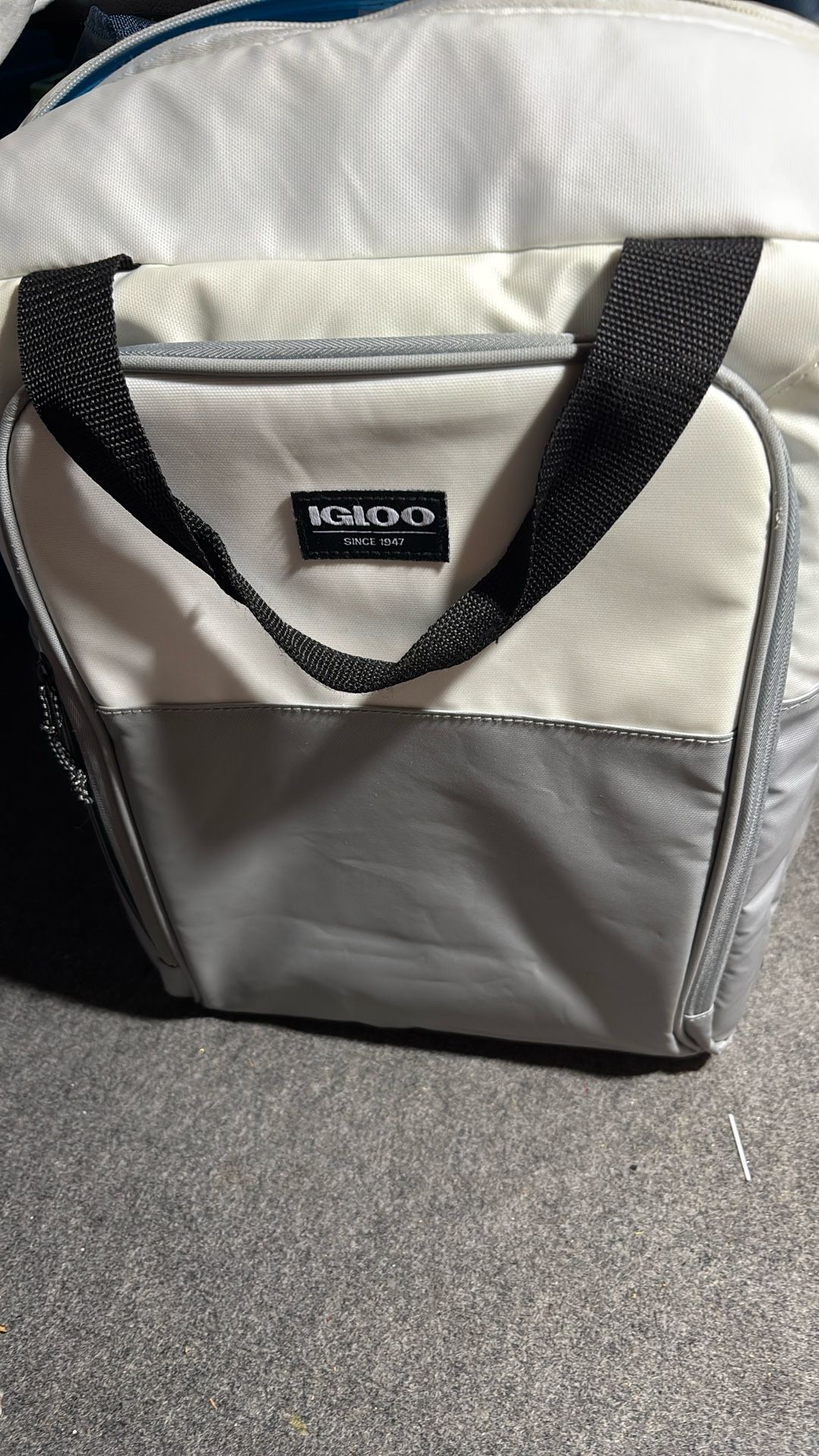 Igloo Backpack Cooler