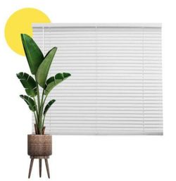 Window Blinds $20