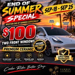 $-Tint-$100