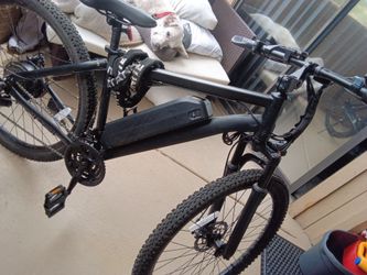 Ebike