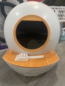 Automatic Litter Box
