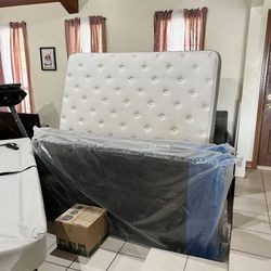 King Sized Mattress And Box Springs