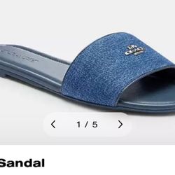 blue leather coach sandals 