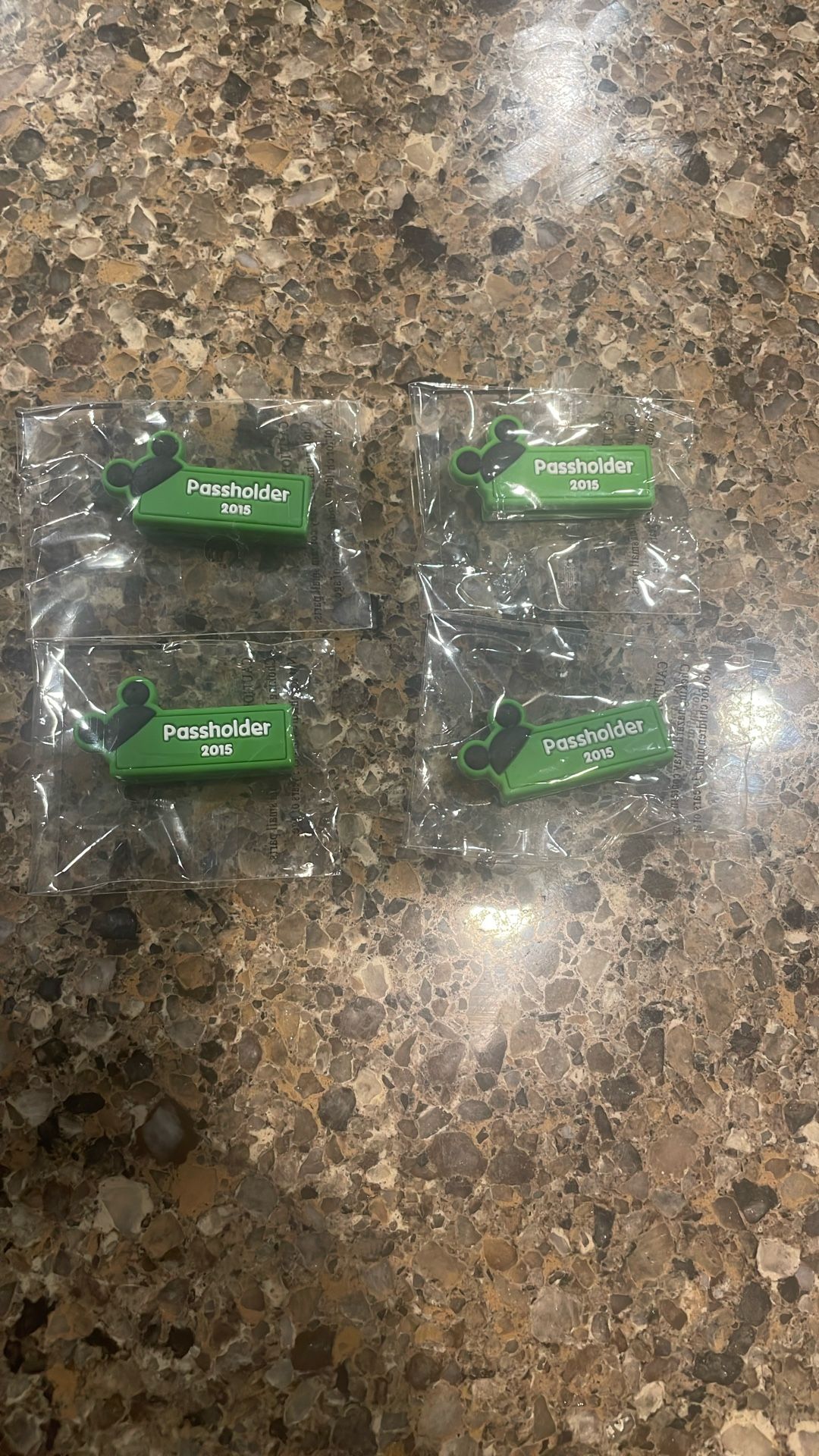 Disney Pass holder Slider