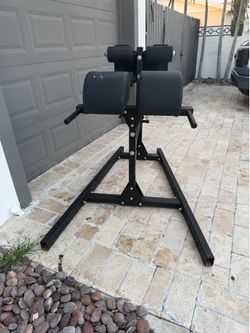 Gym equipment Rogue Abram abs and lower back machine