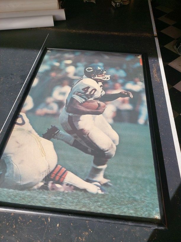 Gale Sayers Poster