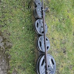 Weights/Curl Bar And Dumbells Bar