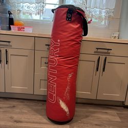 Punching Bag