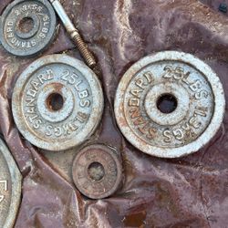 1 Set Of 25 Lbs Weight Plates (2 Plates) 