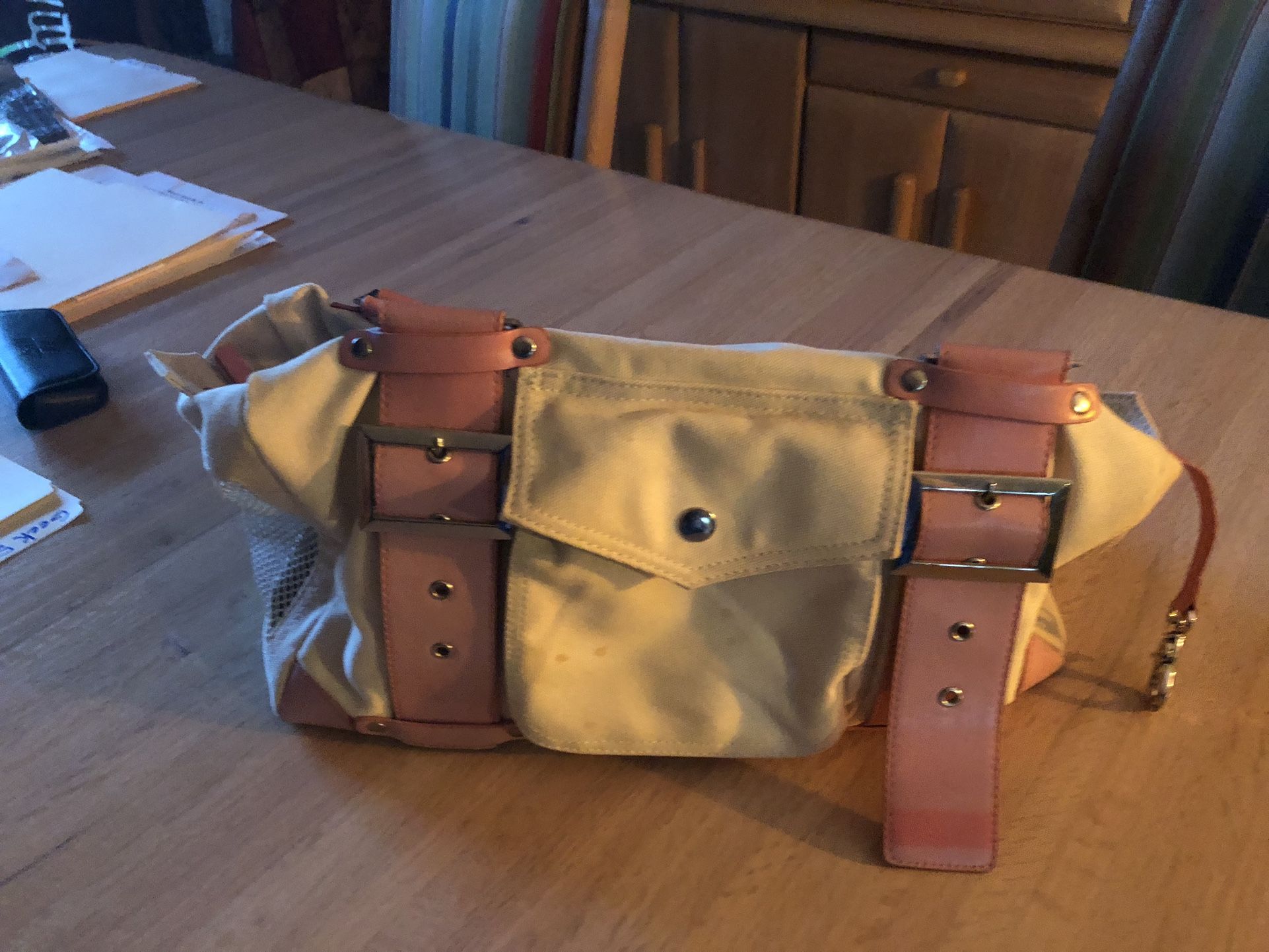 Pet Carrier ( Girl)