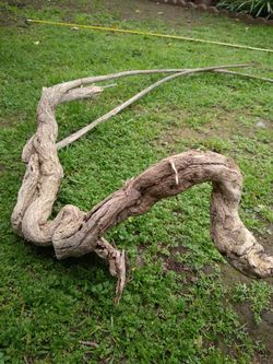 Natural Driftwood For Aquariums Terrariums Decor 