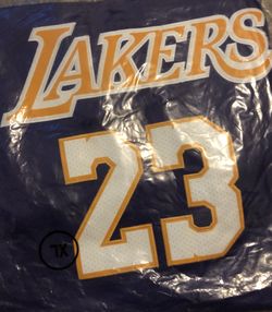 Lebron lakers jersey hot sale wish logo