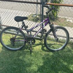 Magna Bike