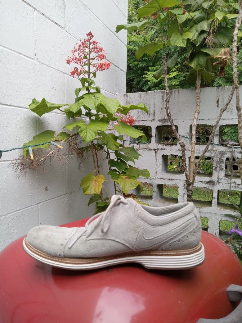 Men's Nike Suede Shoes