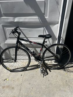 Trek Bike 
