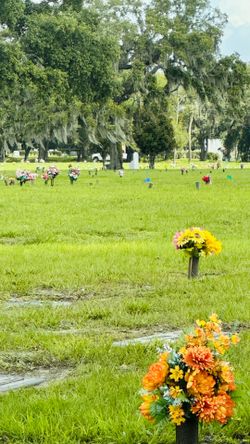 Cemetery Plots