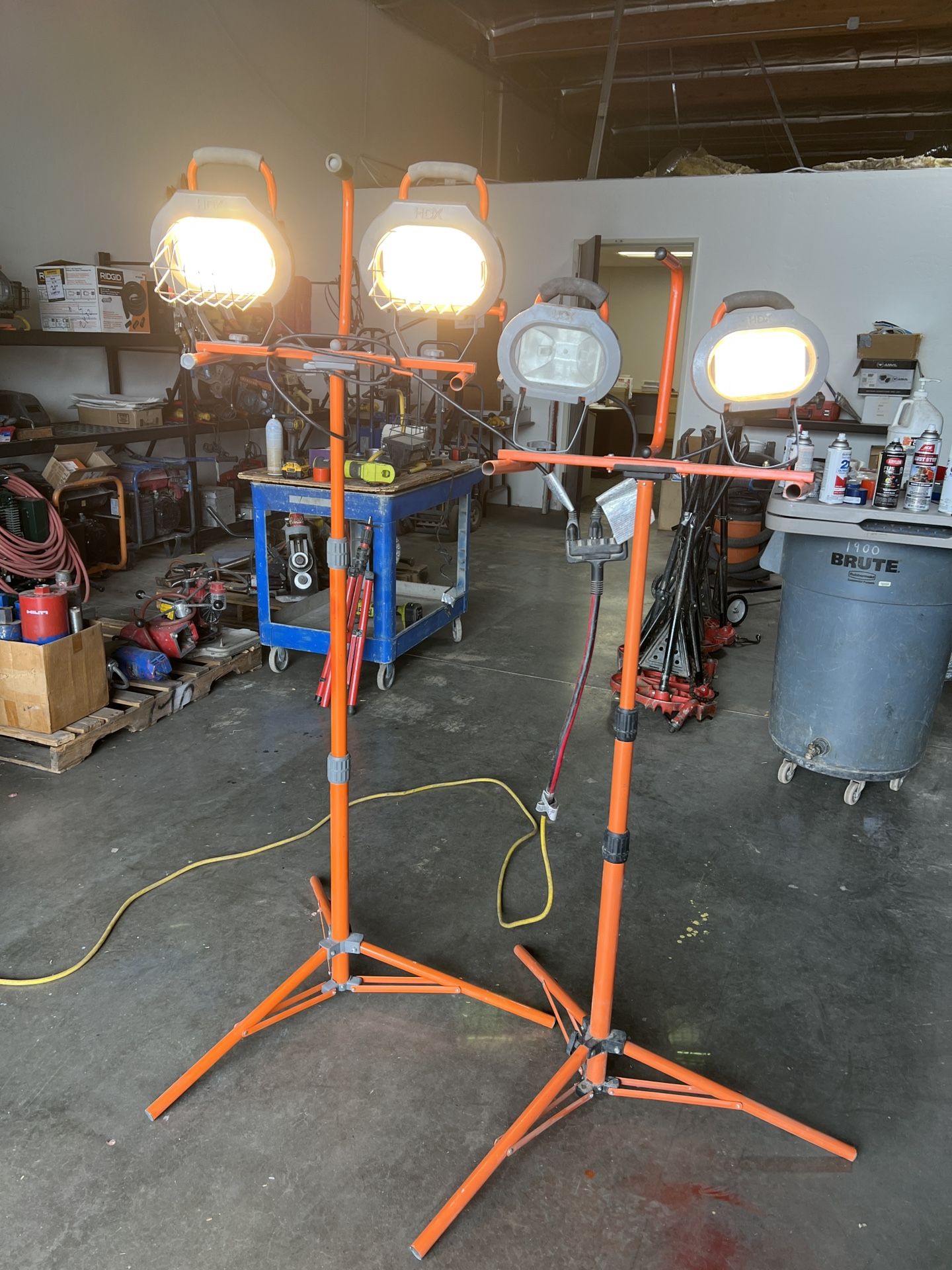 Halogen Lights