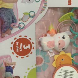 Activity Gym Baby
