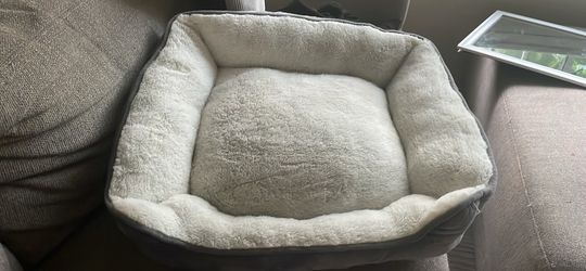 Cat bed