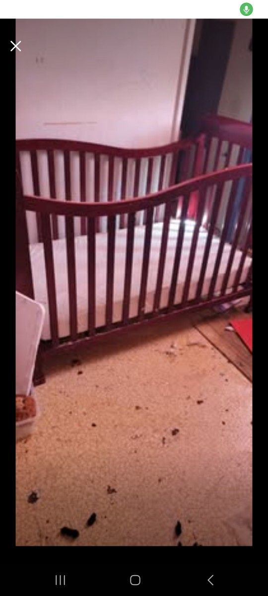 Crib