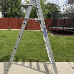 Sears Ladder 