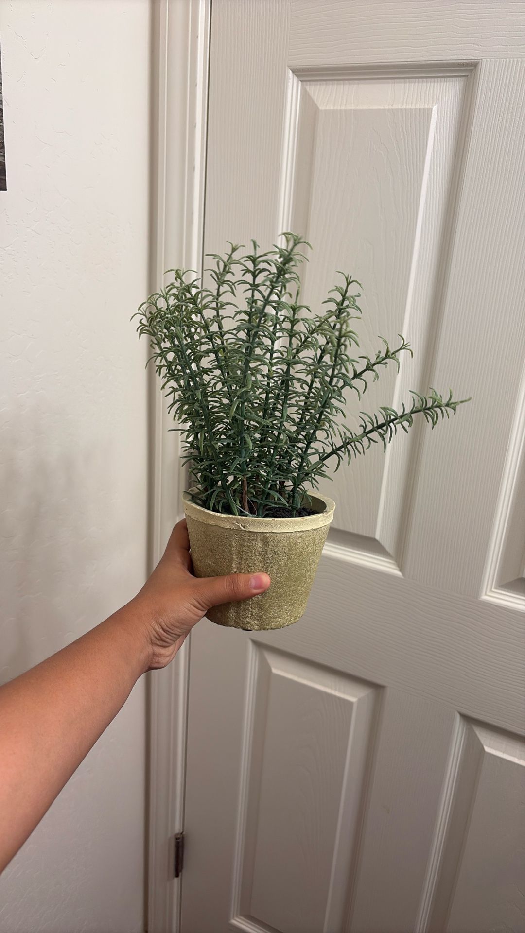 fake plants