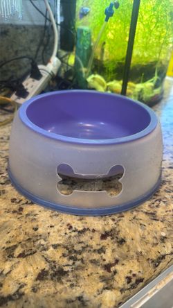 large Pets Food & Water container
