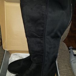 Lane Bryant Boots