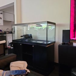 75 Gallon Tank +stand+ Extras