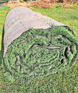 Artificial Grass Used ♻️ Calimesa 🏜