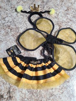 Halloween dog costume