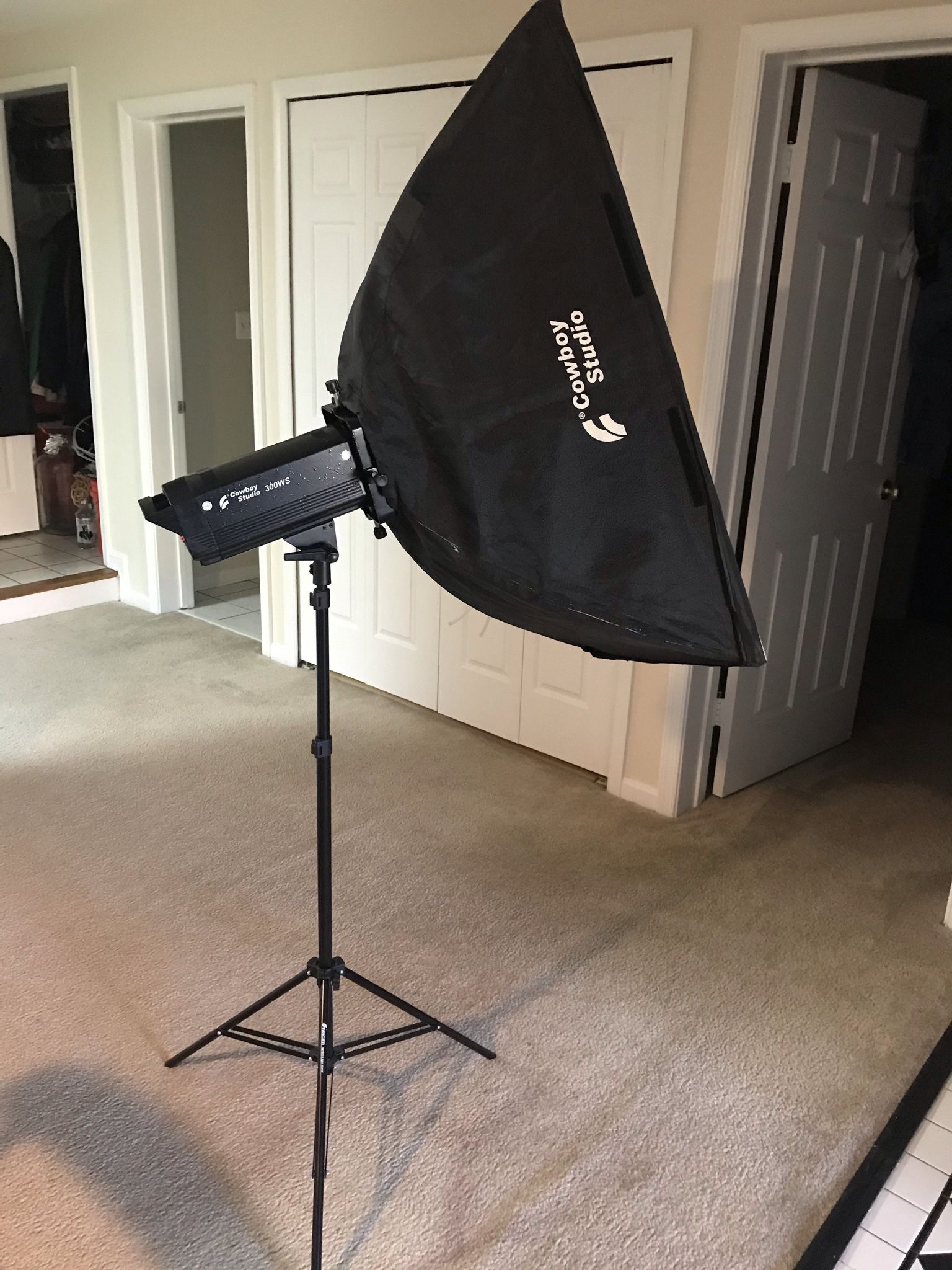 Two 300ws Flash Strobes With Accessories