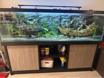 125g Complete Freshwater Aquarium Setup. Super Clean!!