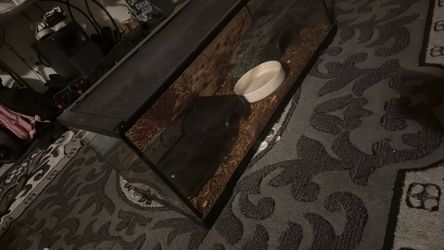 30 gallon tank