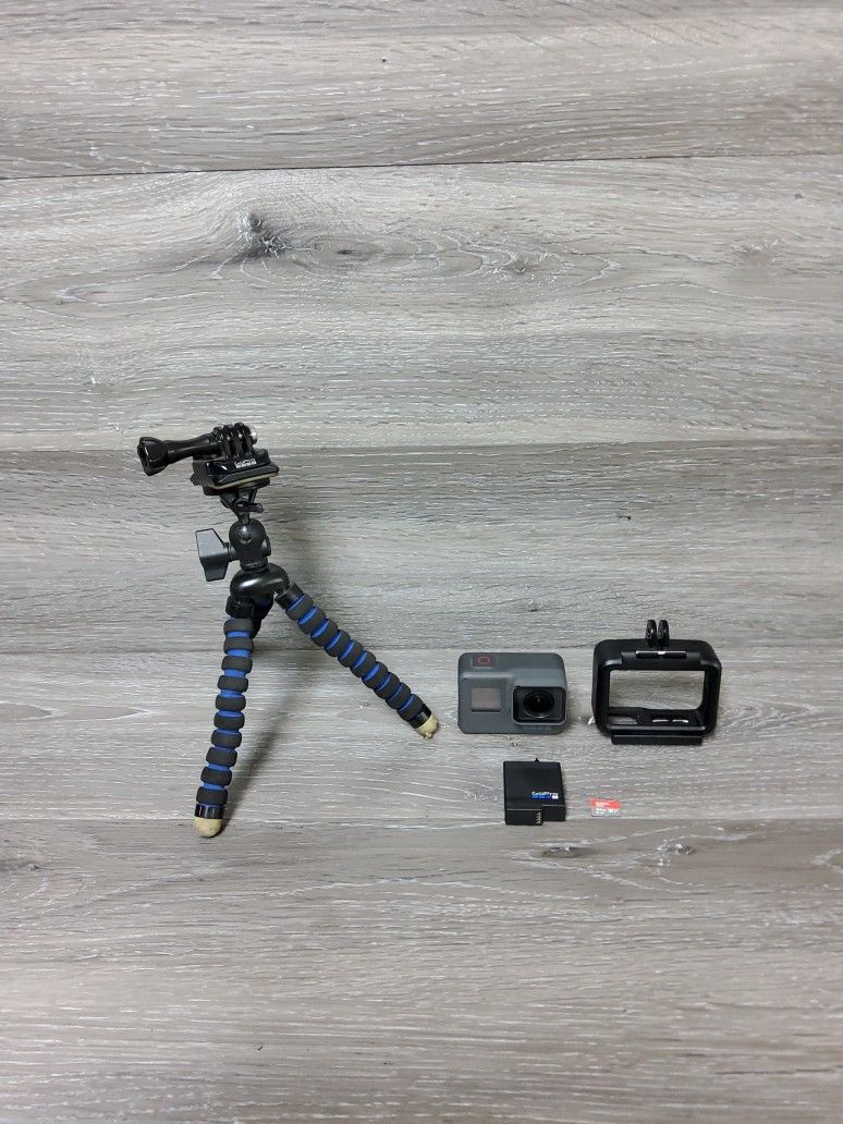 Gopro Hero5 Black With Gopro Tripod Battery And Case