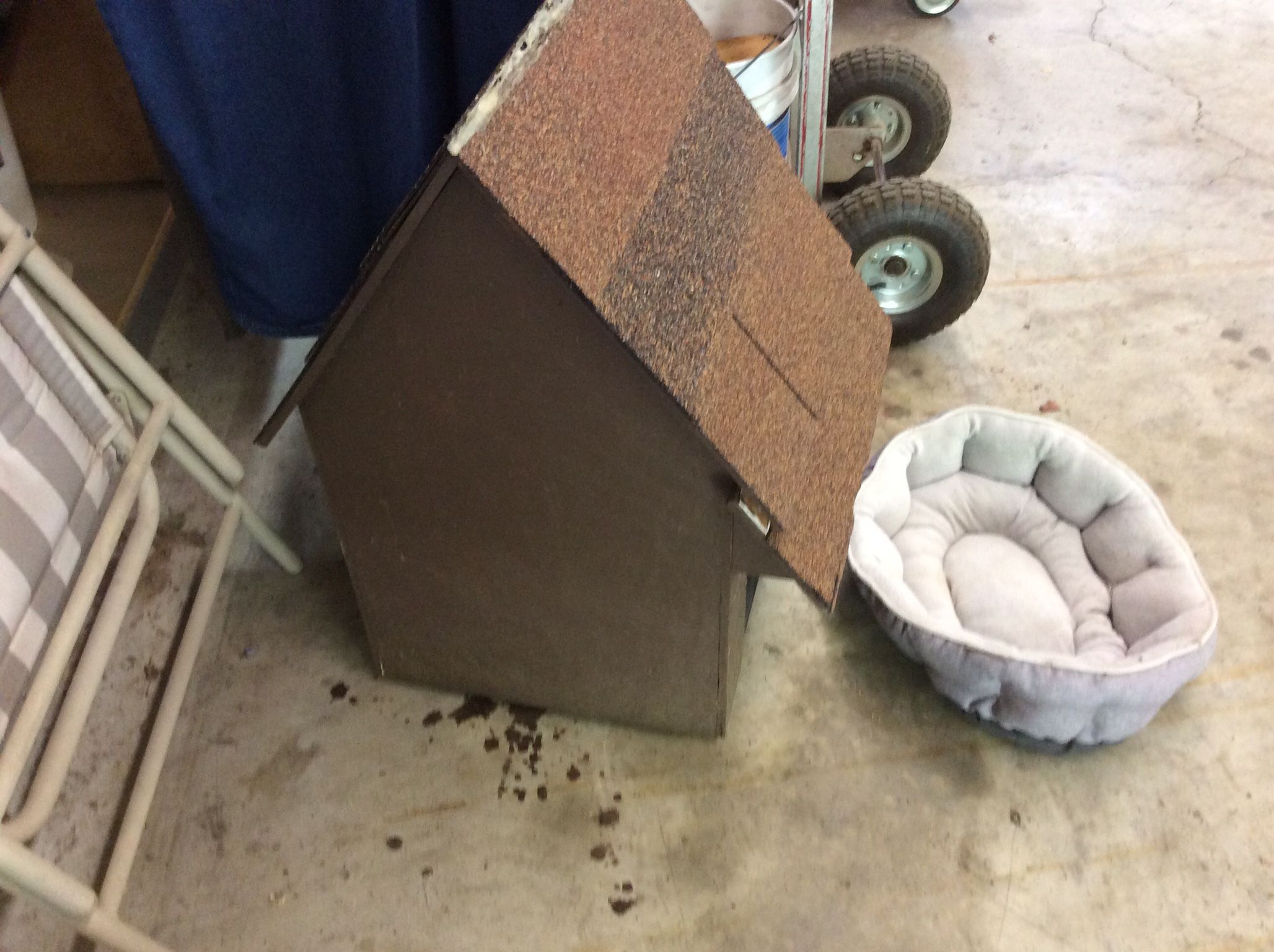 Small Dog House