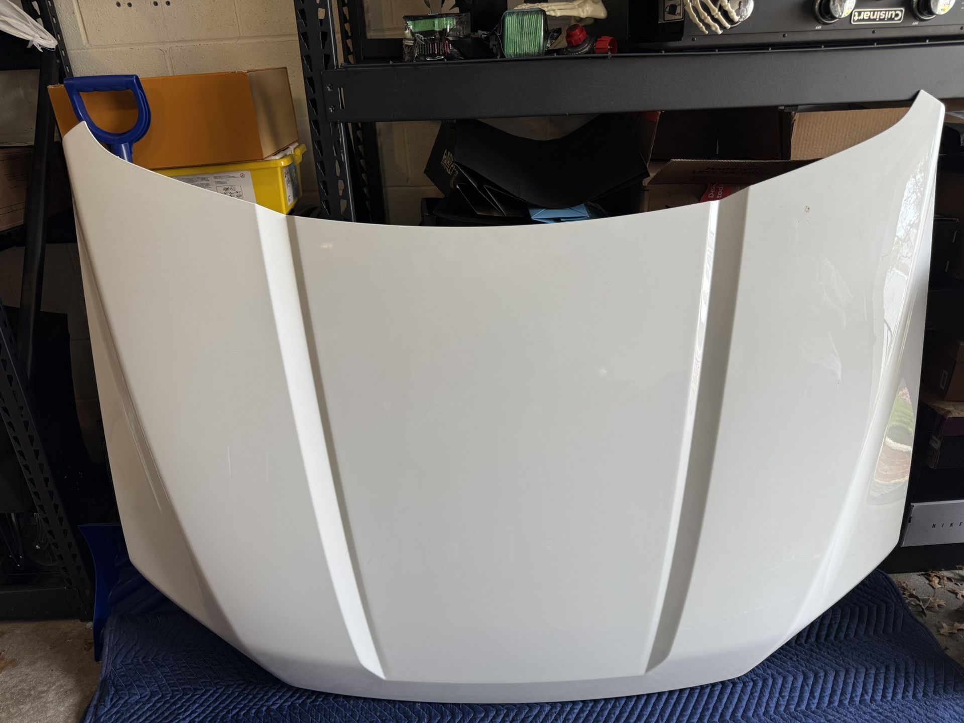 2018 Ford F150 Lariat Hood
