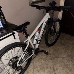 Specialized Mountain Bike 