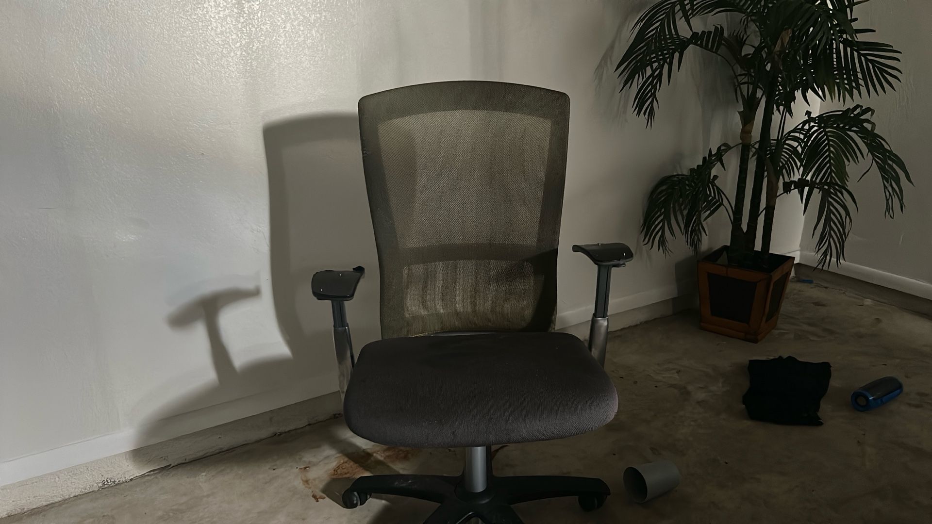 Roller Chair
