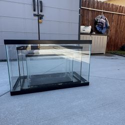 3 Fish Tanks 