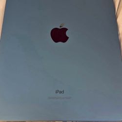 iPad 10th Gen 256 GB