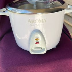 Rice cooker 