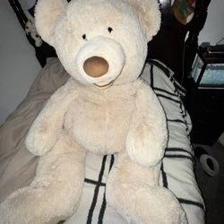 Giant  Teddy Bear 