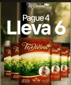Vida divina