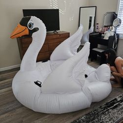 Inflatable Swan