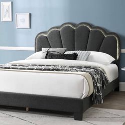Queen Bed With Matttess
