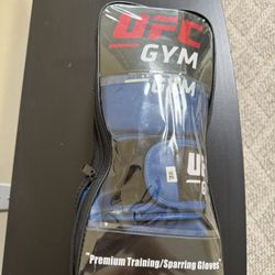 Premium Training/Sparring Gloves